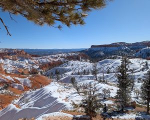 arches bryce canyon capitol reef and canyonlands in winter 2024