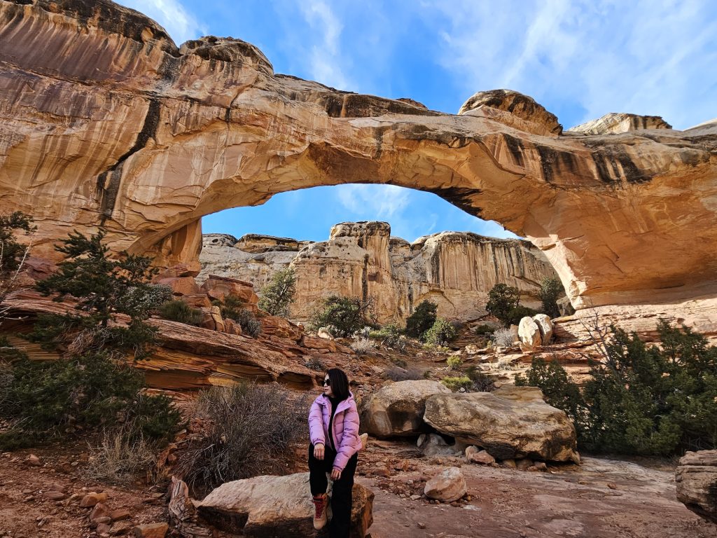 capitol reef national park nov 2024